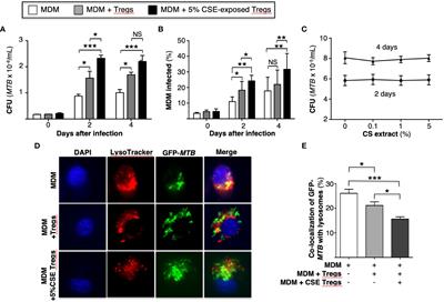 Ex vivo and in vivo evidence that cigarette smoke-exposed T regulatory cells impair host immunity against Mycobacterium tuberculosis